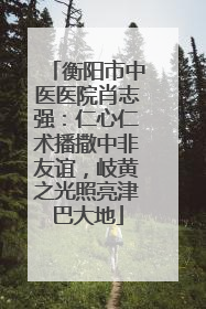 衡阳市中医医院肖志强：仁心仁术播撒中非友谊，岐黄之光照亮津巴大地