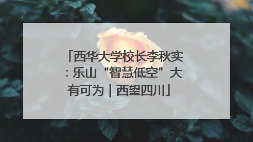 西华大学校长李秋实：乐山“智慧低空”大有可为｜西望四川