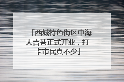 西城特色街区中海大吉巷正式开业，打卡市民真不少