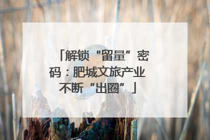 解锁“留量”密码：肥城文旅产业不断“出圈”