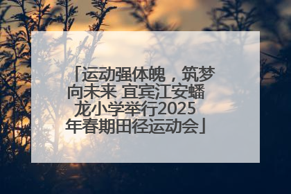 运动强体魄，筑梦向未来 宜宾江安蟠龙小学举行2025年春期田径运动会
