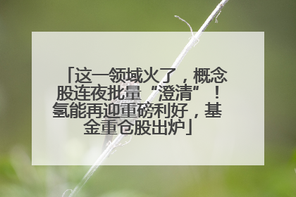 这一领域火了，概念股连夜批量“澄清”！氢能再迎重磅利好，基金重仓股出炉