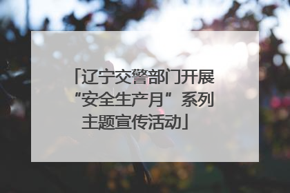 辽宁交警部门开展“安全生产月”系列主题宣传活动