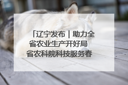 辽宁发布｜助力全省农业生产开好局 省农科院科技服务春耕备耕成效显著