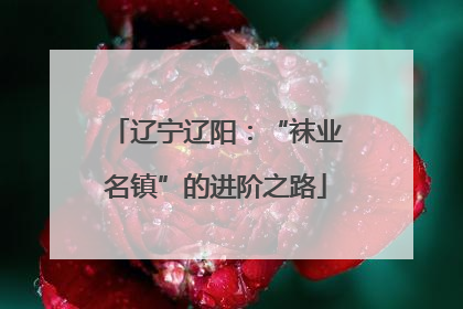辽宁辽阳：“袜业名镇”的进阶之路