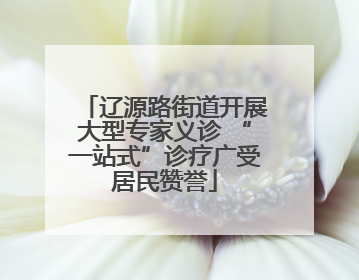 辽源路街道开展大型专家义诊 “一站式”诊疗广受居民赞誉