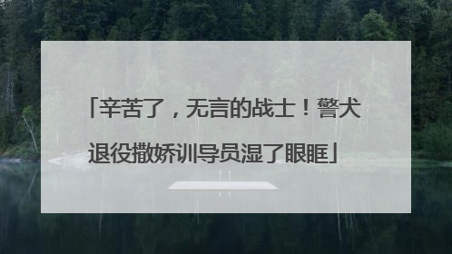 辛苦了，无言的战士！警犬退役撒娇训导员湿了眼眶
