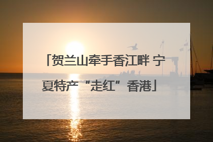 贺兰山牵手香江畔 宁夏特产“走红”香港