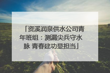 资溪润泉供水公司青年班组：测漏尖兵守水脉 青春建功显担当