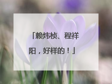 赖炜桢、程祥阳，好样的！