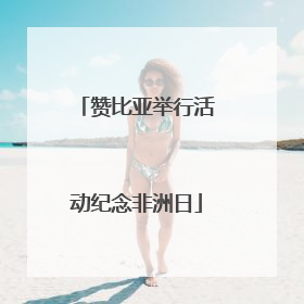 赞比亚举行活动纪念非洲日