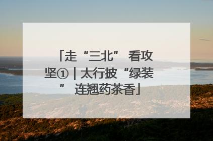 走“三北” 看攻坚①｜太行披“绿装” 连翘药茶香
