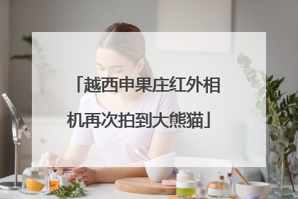 越西申果庄红外相机再次拍到大熊猫