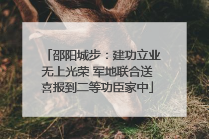 邵阳城步：建功立业无上光荣 军地联合送喜报到二等功臣家中