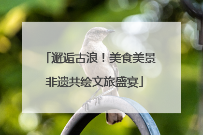 邂逅古浪！美食美景非遗共绘文旅盛宴