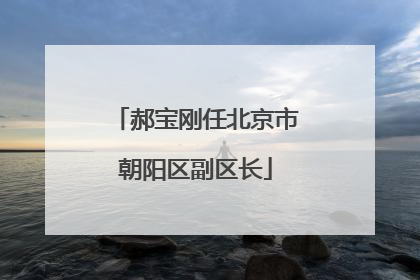 郝宝刚任北京市朝阳区副区长