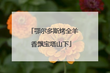 鄂尔多斯烤全羊香飘宝塔山下