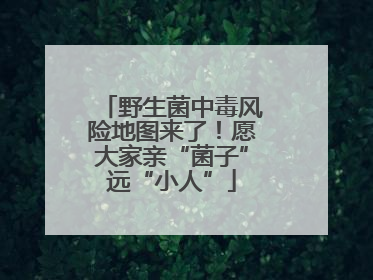 野生菌中毒风险地图来了！愿大家亲“菌子”远“小人”