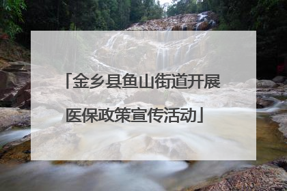 金乡县鱼山街道开展医保政策宣传活动