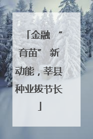 金融 “育苗” 新动能，莘县种业拔节长