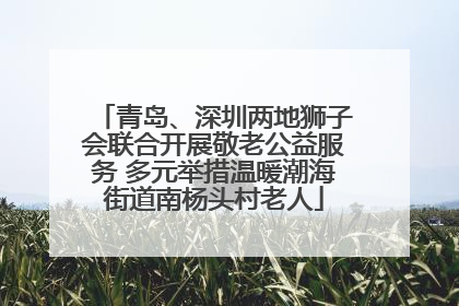 青岛、深圳两地狮子会联合开展敬老公益服务 多元举措温暖潮海街道南杨头村老人