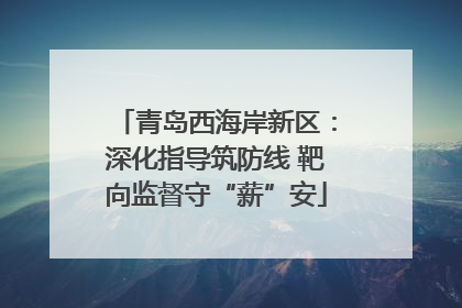 青岛西海岸新区：深化指导筑防线 靶向监督守“薪”安