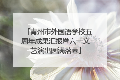 青州市外国语学校五周年成果汇报暨六一文艺演出圆满落幕