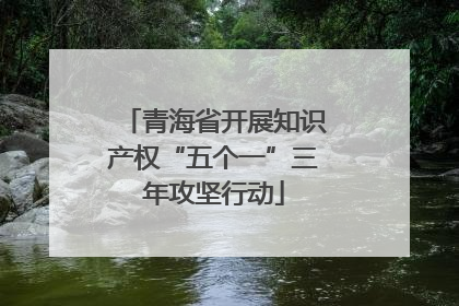 青海省开展知识产权“五个一”三年攻坚行动