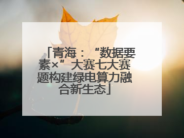 青海：“数据要素×”大赛七大赛题构建绿电算力融合新生态