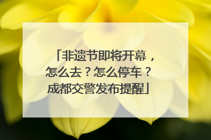 非遗节即将开幕，怎么去？怎么停车？成都交警发布提醒