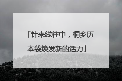 针来线往中，桐乡历本袋焕发新的活力