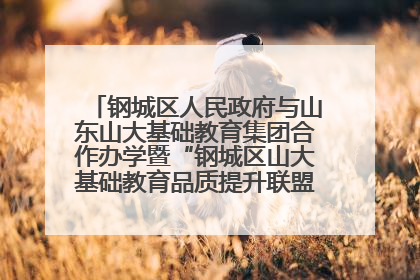 钢城区人民政府与山东山大基础教育集团合作办学暨“钢城区山大基础教育品质提升联盟”签约揭牌活动举行