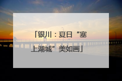 银川：夏日“塞上湖城”美如画