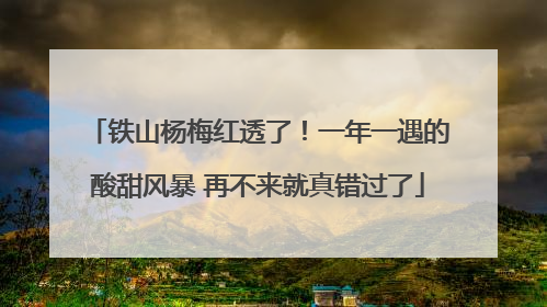 铁山杨梅红透了！一年一遇的酸甜风暴 再不来就真错过了