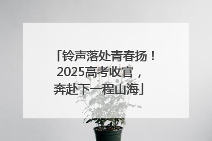 铃声落处青春扬！2025高考收官，奔赴下一程山海