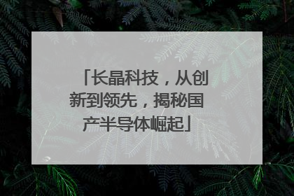 长晶科技，从创新到领先，揭秘国产半导体崛起