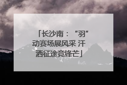 长沙南：“羽”动赛场展风采 汗洒征途竞锋芒