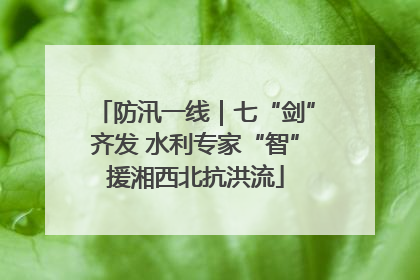 防汛一线｜七“剑”齐发 水利专家“智”援湘西北抗洪流