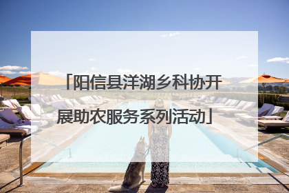 阳信县洋湖乡科协开展助农服务系列活动