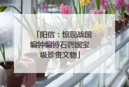 阳信：惊现战国编钟编镈石磬国宝级珍贵文物