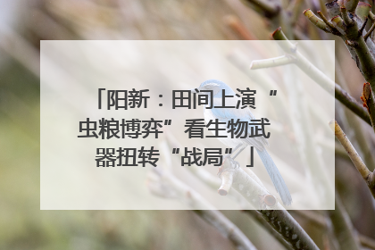 阳新：田间上演“虫粮博弈”看生物武器扭转“战局”