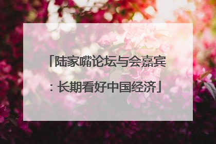 陆家嘴论坛与会嘉宾：长期看好中国经济
