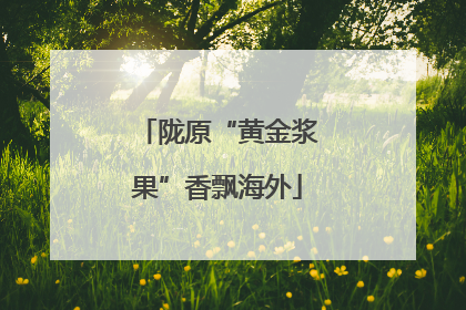 陇原“黄金浆果”香飘海外