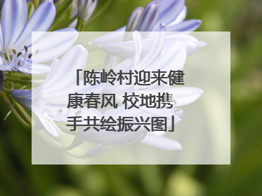 陈岭村迎来健康春风 校地携手共绘振兴图