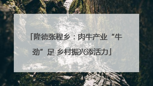 隆德张程乡：肉牛产业“牛劲”足 乡村振兴添活力
