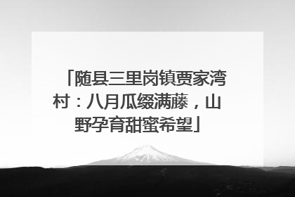 随县三里岗镇贾家湾村：八月瓜缀满藤，山野孕育甜蜜希望
