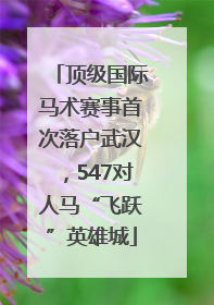 顶级国际马术赛事首次落户武汉，547对人马“飞跃”英雄城