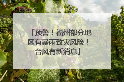 预警！福州部分地区有暴雨致灾风险！台风有新消息