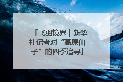 飞羽镜界｜新华社记者对“高原仙子”的四季追寻