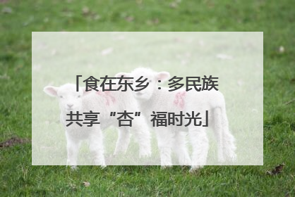 食在东乡：多民族共享“杏”福时光